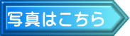 写真はこちら
