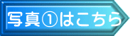 写真①はこちら