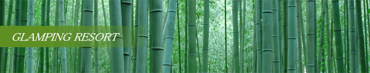 GLAMPING RESORT
