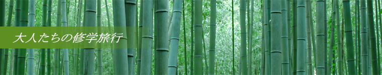 大人たちの修学旅行