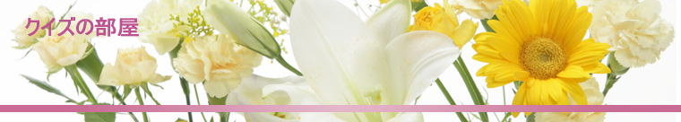 �N�C�Y�̕���