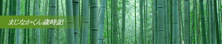 �܂��Ȃ�����Ύ��L