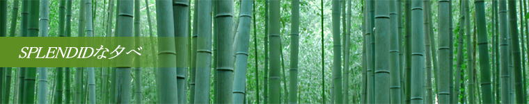 SPLENDID�ȗ[��
